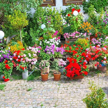 Christina Appartamento *