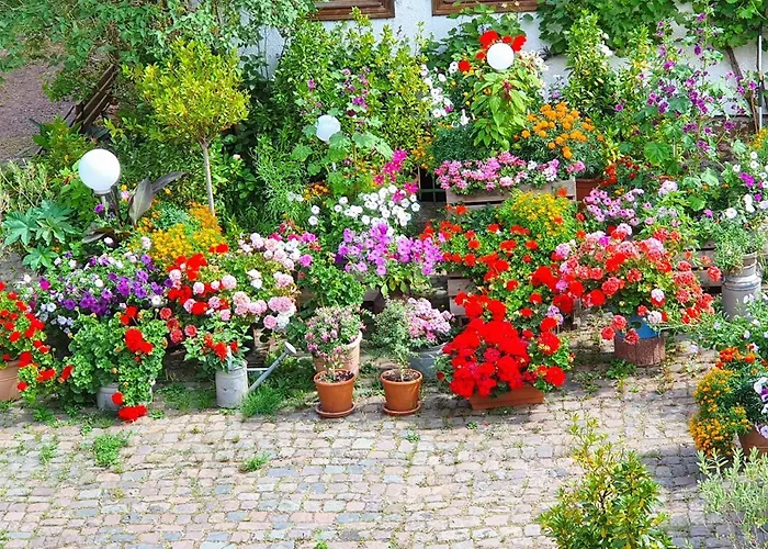 Christina 아파트 *